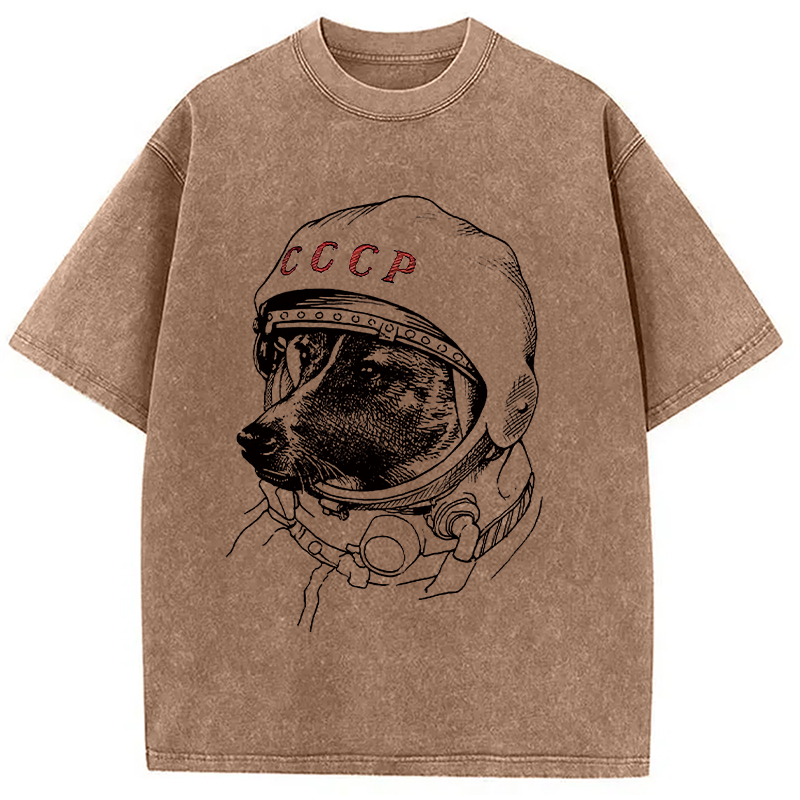 Modecanvas Astro Dog Washed T-Shirt