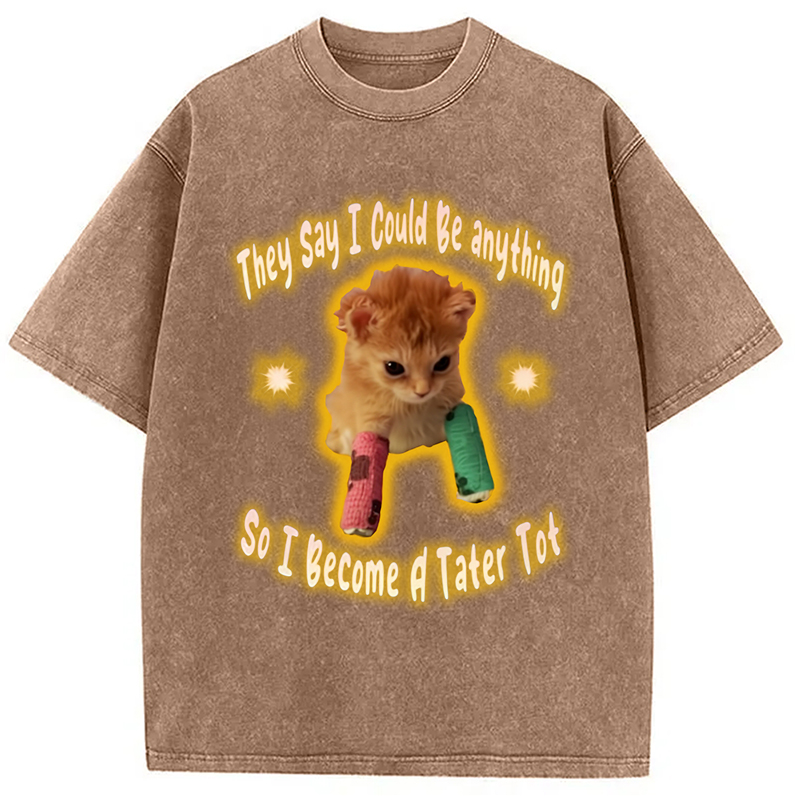 Modecanvas Tater Tot Cat Funny Meme Washed T-Shirt