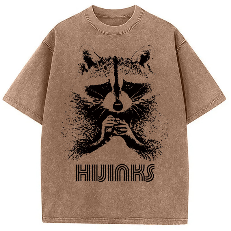 Modecanvas Raccoon Hijinks Washed T-Shirt