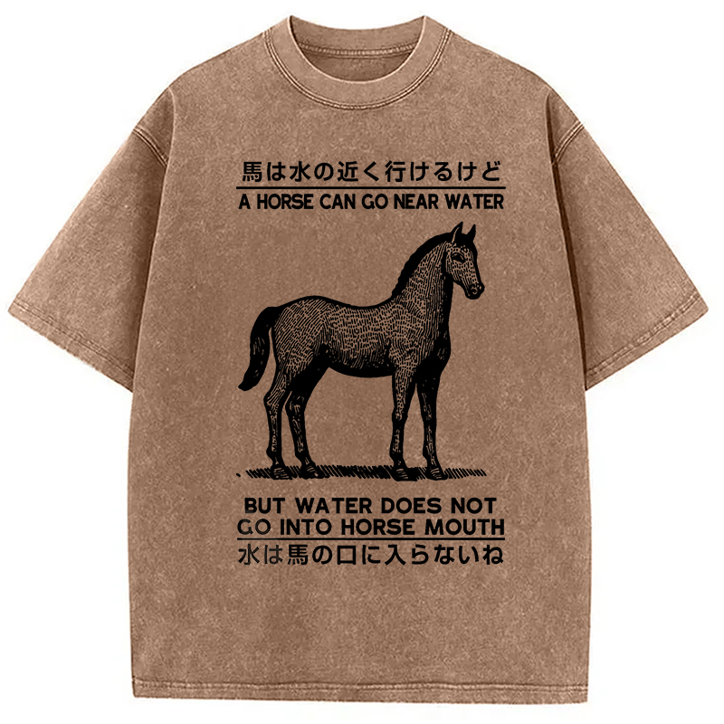 Modecanvas Funny Horse And Water Saying Washed T-Shirt