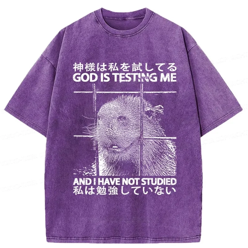 Modecanvas God Is Testing Me Washed T-Shirt-modecanvas