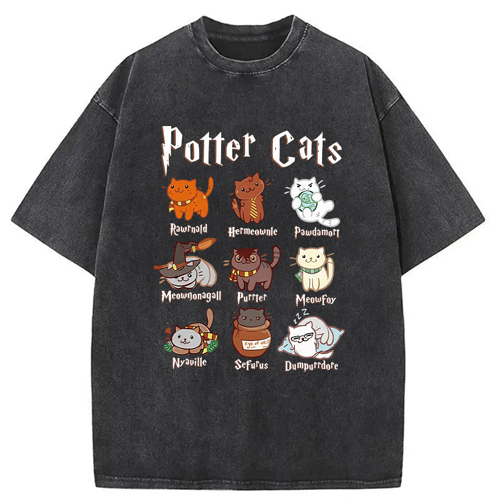 Modecanvas Wizard Cats Washed T-Shirt