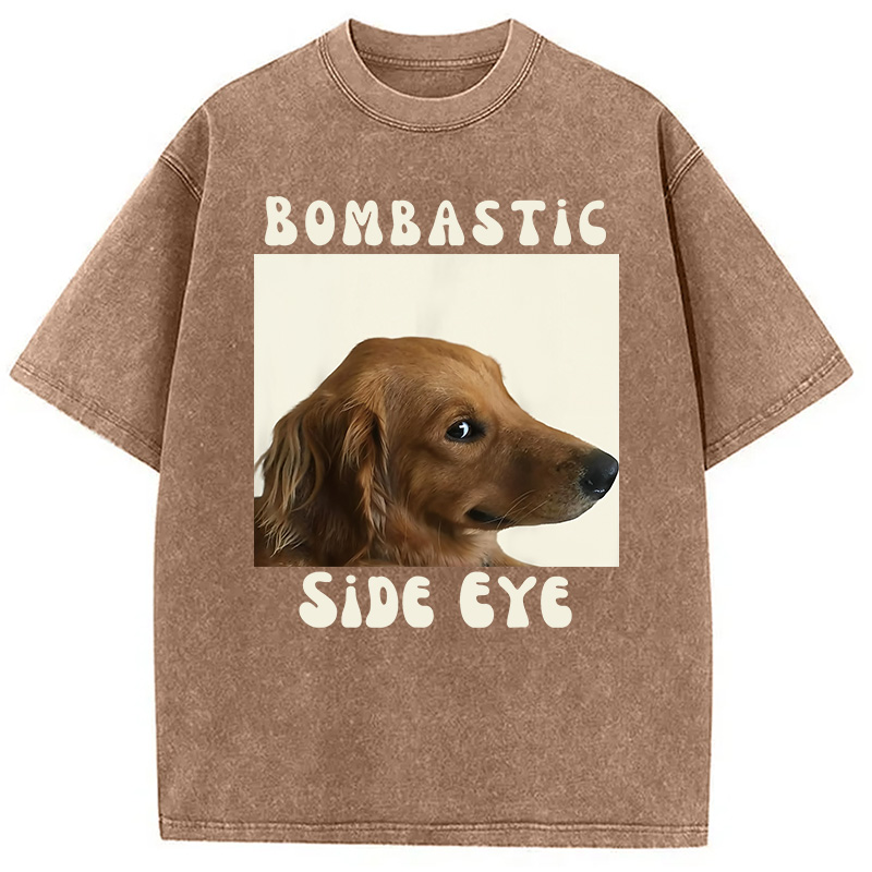 Modecanvas Bombastic Side Eye Funny Dog Meme Washed T-Shirt