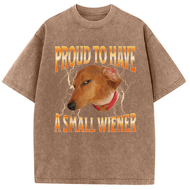 Modecanvas Funny Dog Meme Washed T-Shirt