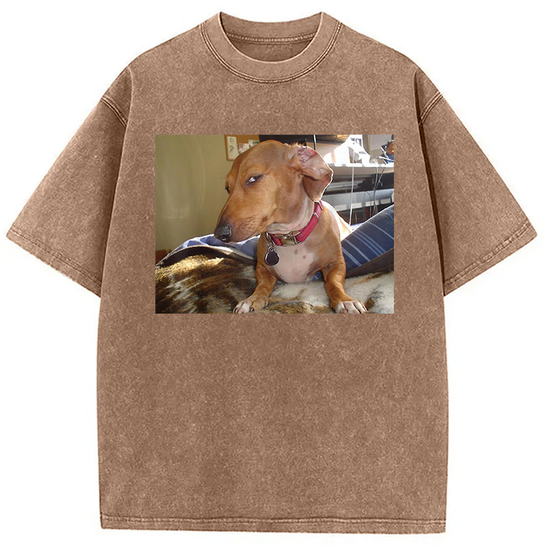 Modecanvas Side Eye Dog Meme Washed T-Shirt