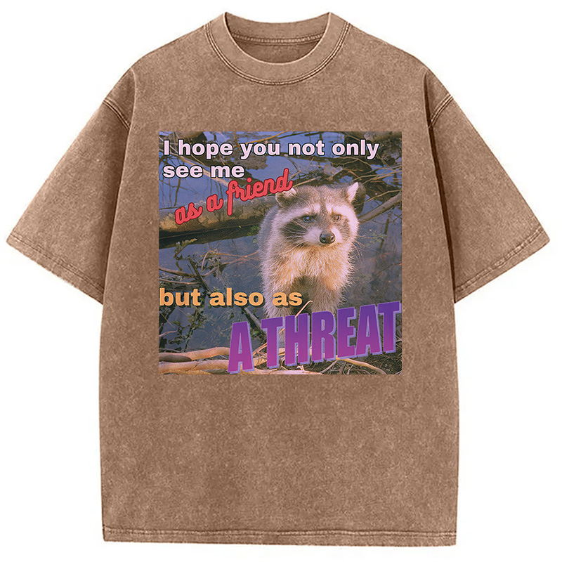 Modecanvas Viral Raccoon Meme Washed T-Shirt