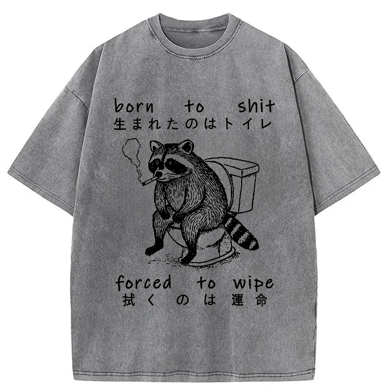 Modecanvas Decadent Raccoon Washed T-Shirt