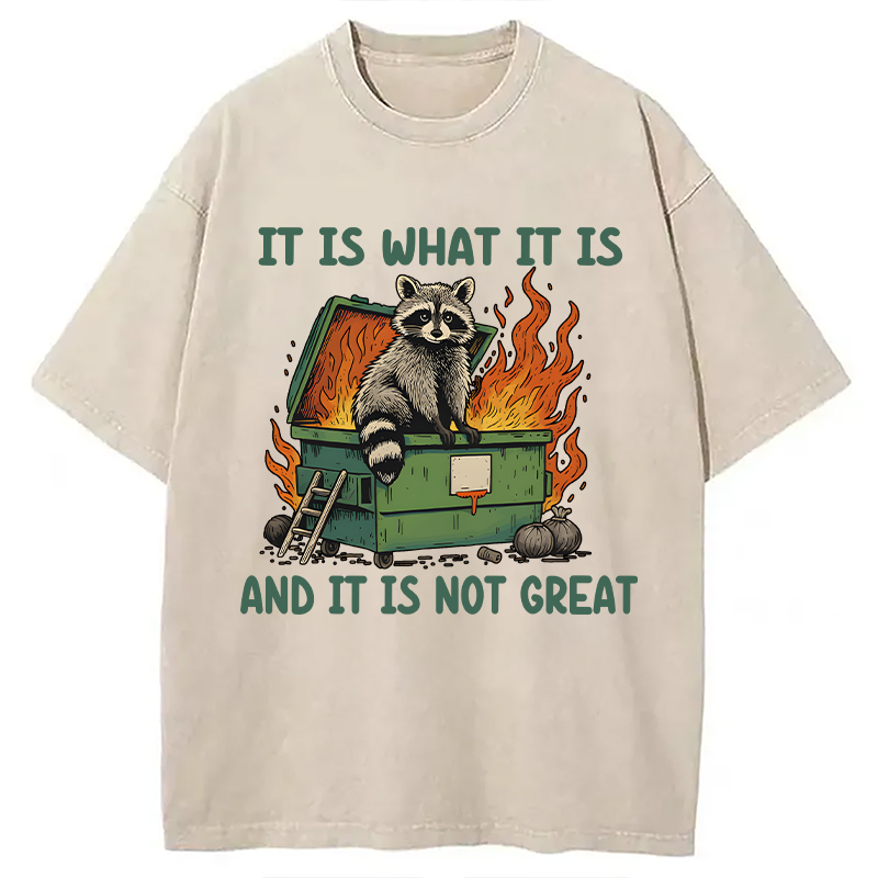 Modecanvas It Is What It Is Dumpster Fire Funny Raccoon Meme Washed T-Shirt