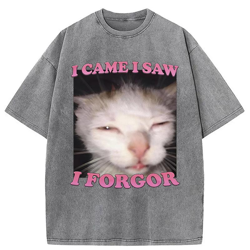 Modecanvas I Forgor Funny Cat Meme Washed T-Shirt-modecanvas