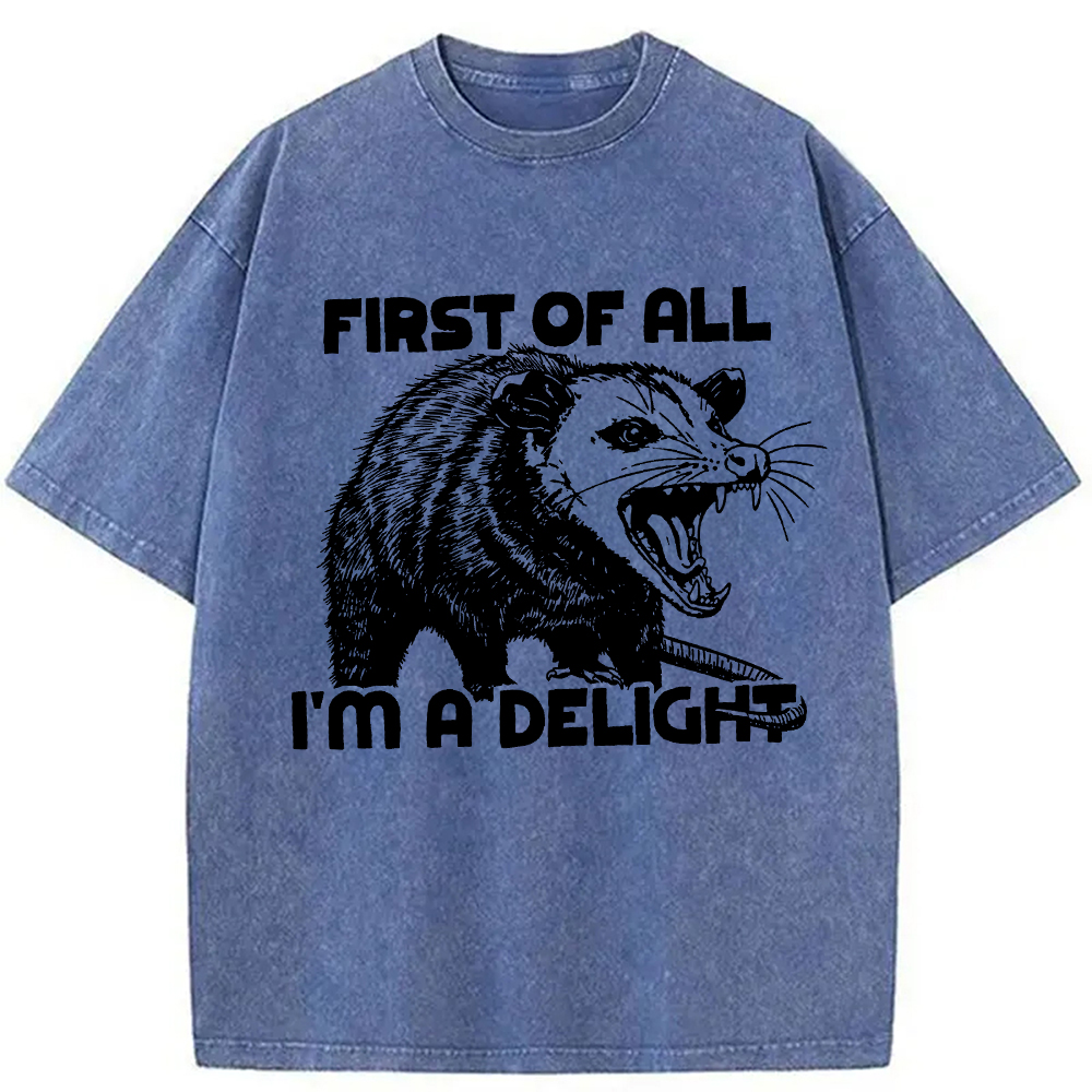 Modecanvas First of All Possum Washed T-Shirt