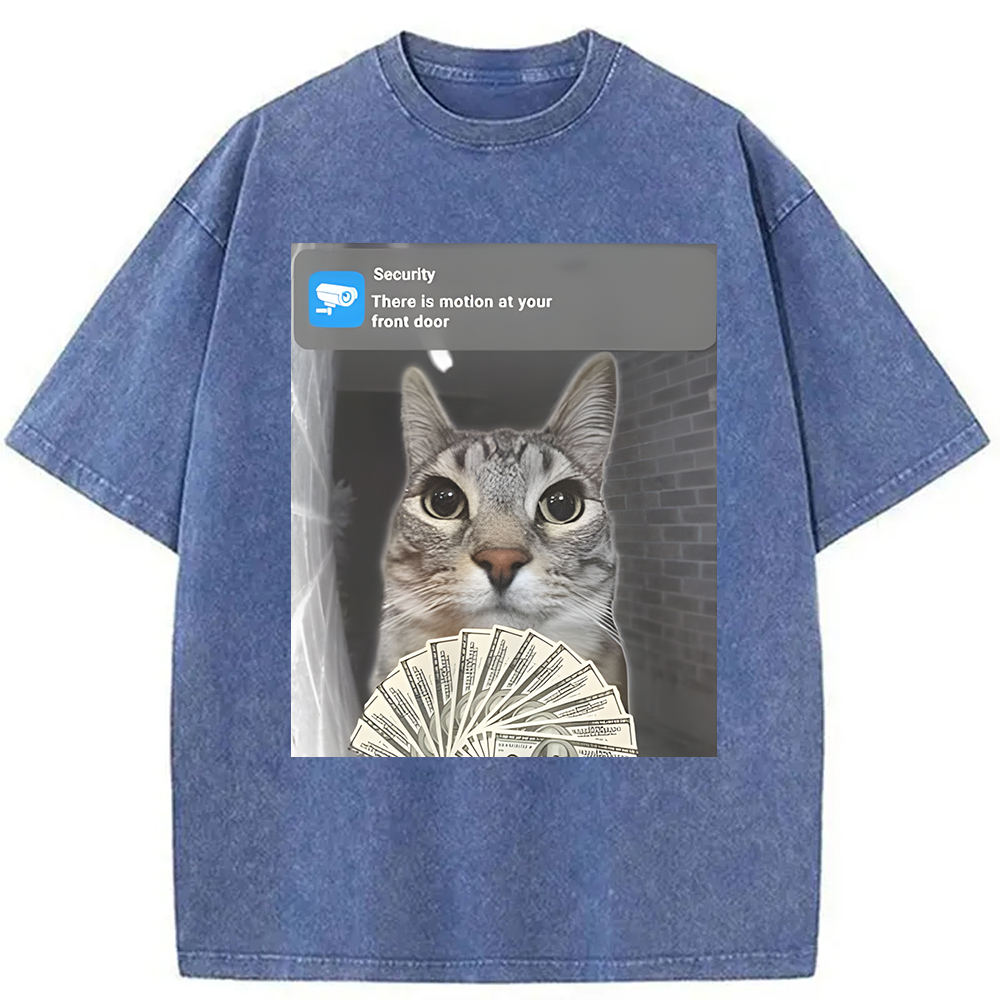 Modecanvas Ring Cat Meme Washed T-Shirt