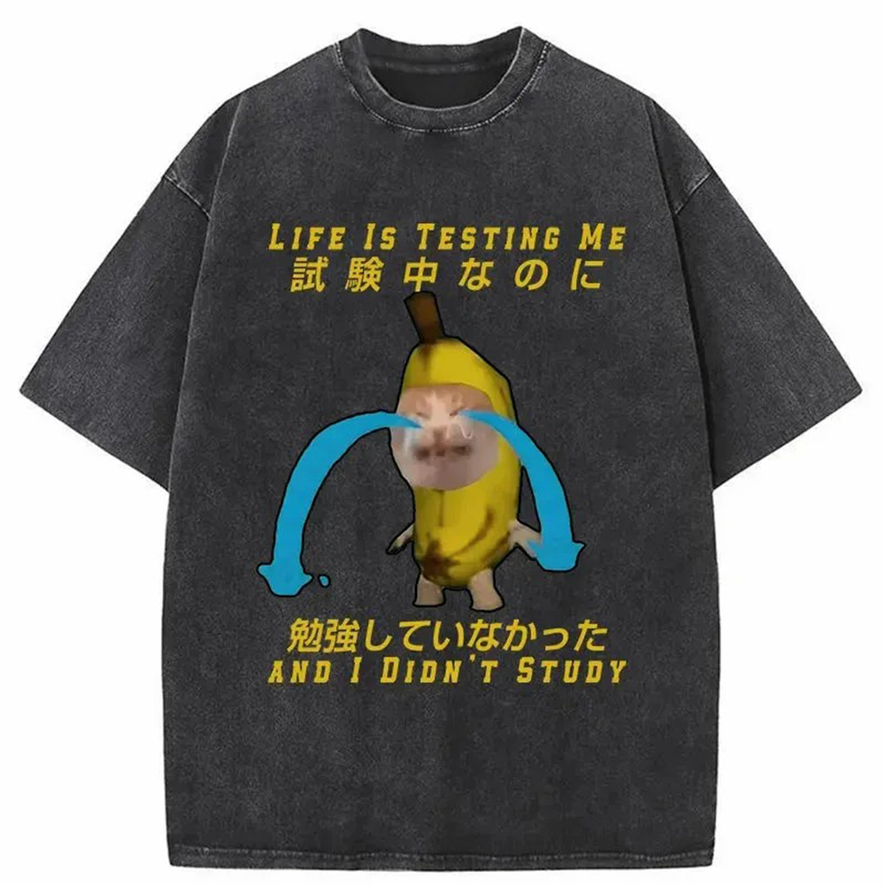 Modecanvas Cat Forced By Life Washed T-Shirt