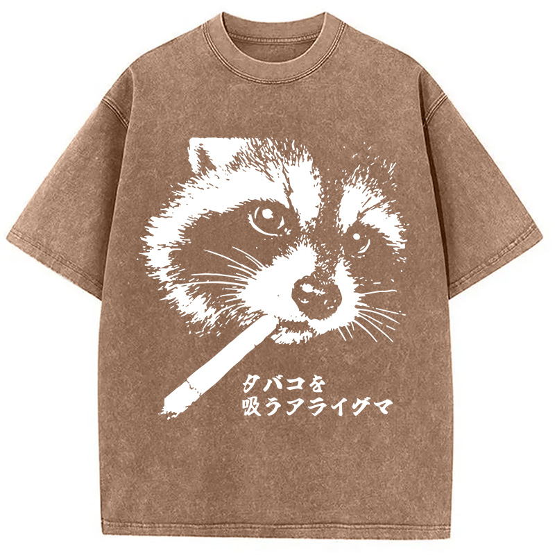 Modecanvas Somking Raccoon DTG Printing Washed T-Shirt-modecanvas