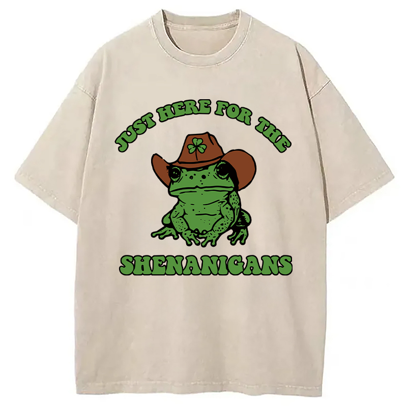 Modecanvas Here for the Shenanigans Washed T-Shirt