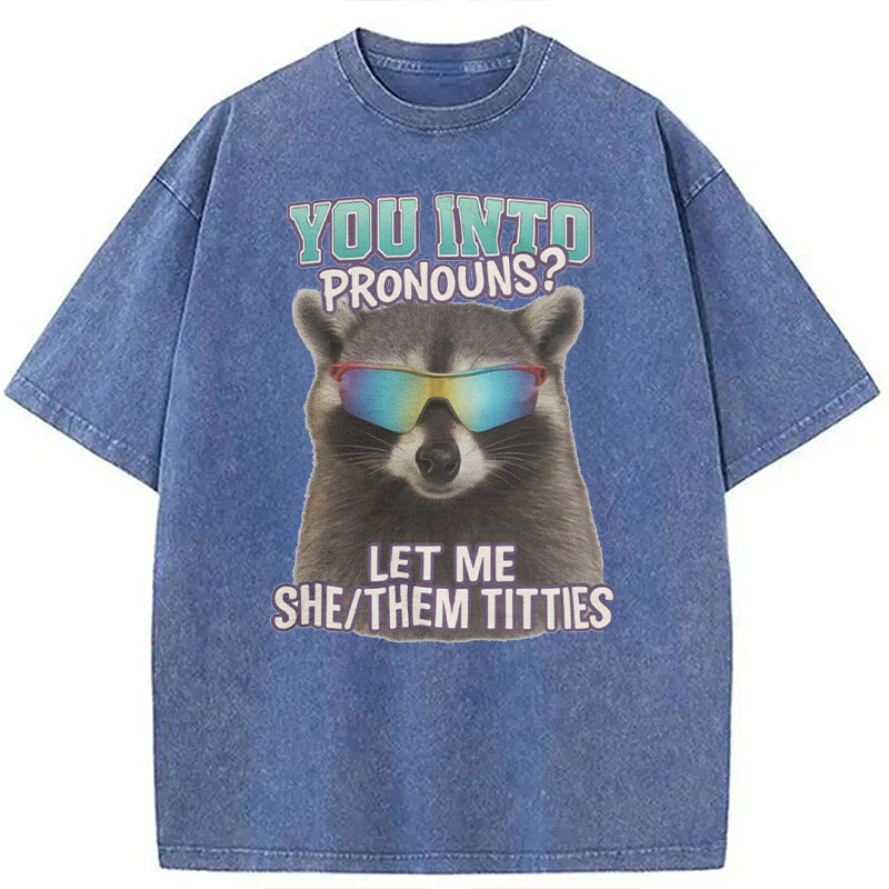 Modecanvas You Into Pronouns? Let Me She/Them Titt*es Raccoon DTG Printing Washed T-Shirt