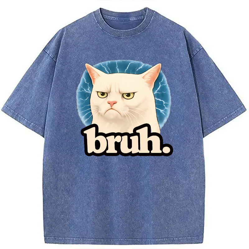 Modecanvas Bruh Cat Meme DTG Printing Washed T-Shirt