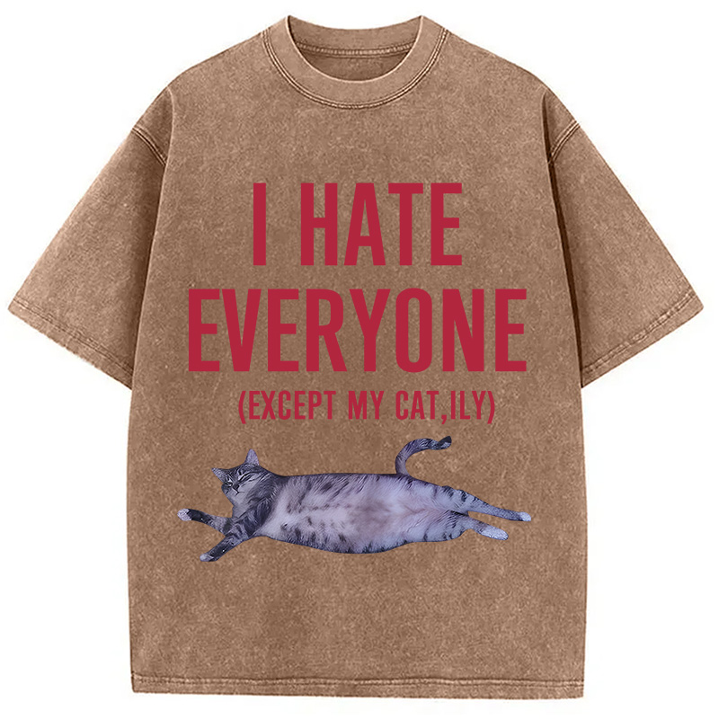 Modecanvas I Hate Everyone Cat Washed T-Shirt