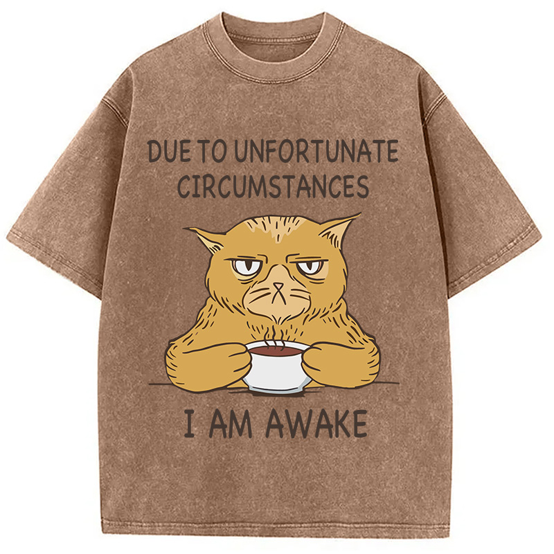 Modecanvas I Am Awake Cat Meme DTG Printing Washed T-Shirt