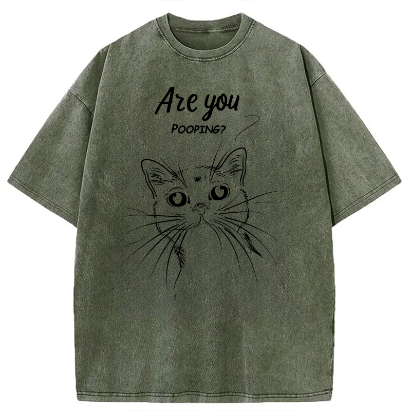Modecanvas Black Cat Are You Pooping DTG Printing Washed T-Shirt