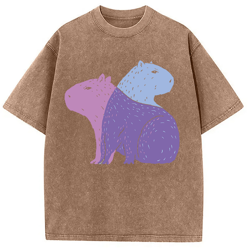 Modecanvas Double Capybaras DTG Printing Washed T-Shirt