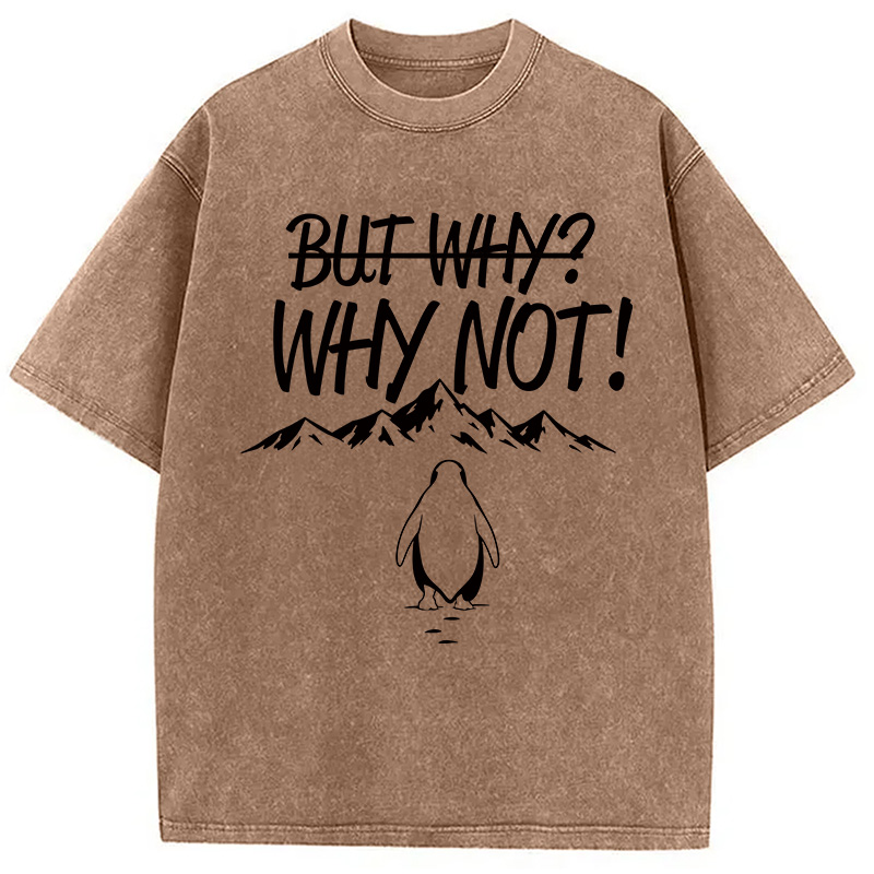 Modecanvas But Why/Why Not Penguin Meme DTG Printing Washed T-Shirt