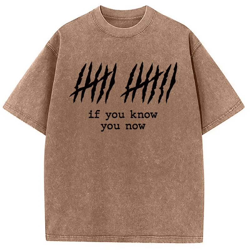 Modecanvas If You Know DTG Printing Washed T-Shirt-modecanvas