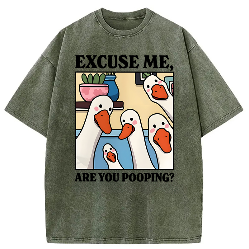 Modecanvas Are You Pooping Goose Meme DTG Printing Washed T-Shirt-modecanvas
