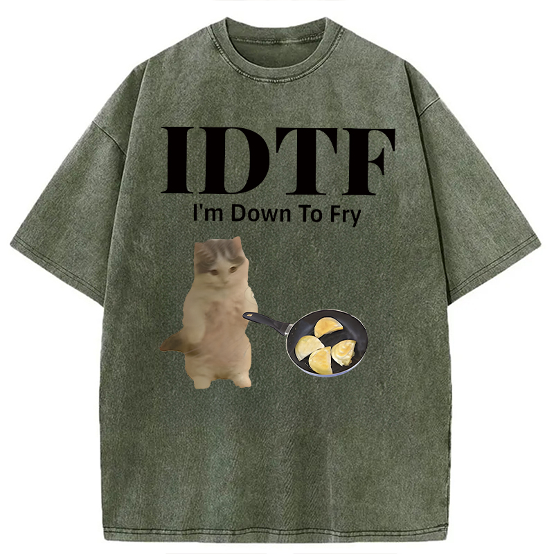 Modecanvas IDTF Pierogi DTG Printing Washed T-Shirt-modecanvas