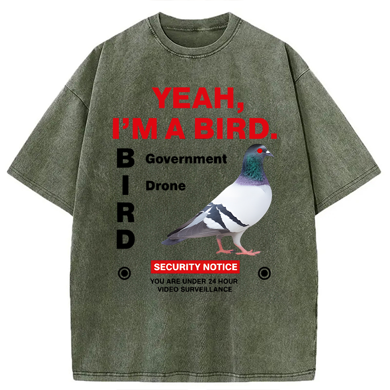 Modecanvas Government Funny Pigeon Puns DTG Printing Washed T-Shirt-modecanvas