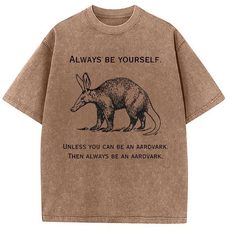 Modecanvas Always Be Yourself Meme DTG Printing Washed T-Shirt-modecanvas