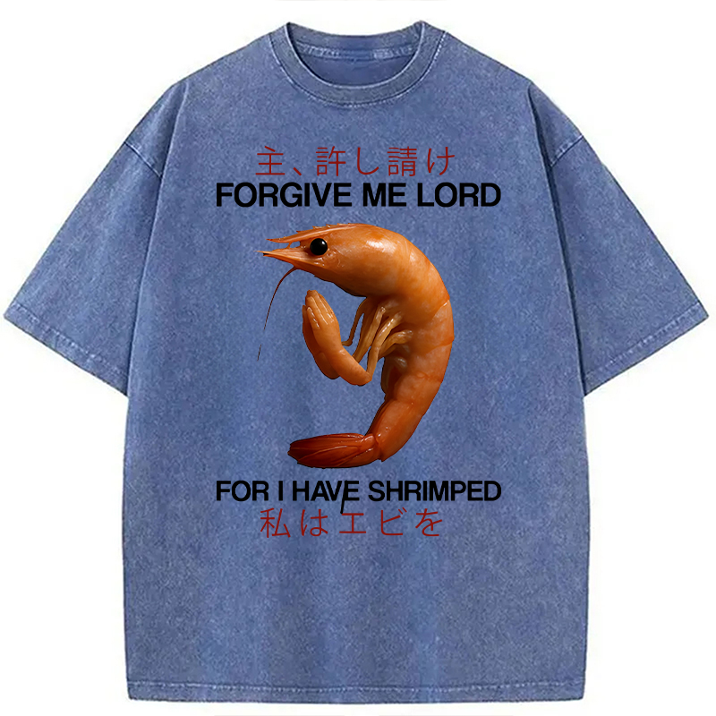 Modecanvas Forgive Me Lord For I Have Shrimped DTG Printing Washed T-Shirt-modecanvas