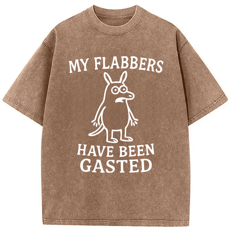 Modecanvas My Flabbers Have Been Gasted Funny Meme DTG Printing Washed T-Shirt-modecanvas