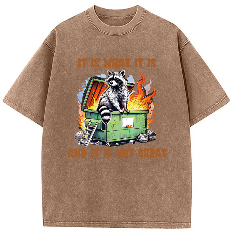 Modecanvas It is What Not Great Raccoon Meme DTG Printing Washed T-Shirt