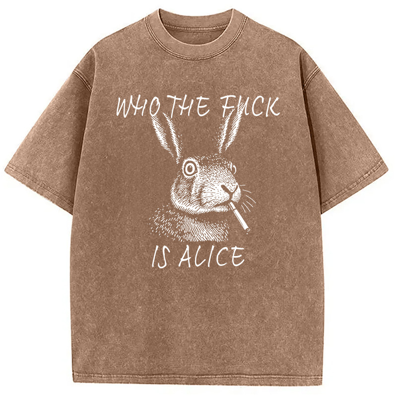 Modecanvas Who The Fck Is Alice Meme DTG Printing Washed T-Shirt