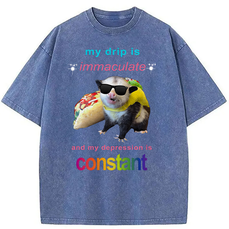 Modecanvas My Drip Is Immaculate DTG Printing Washed T-Shirt