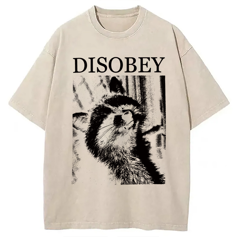 Modecanvas Disobey Raccoon DTG Printing Washed T-Shirt