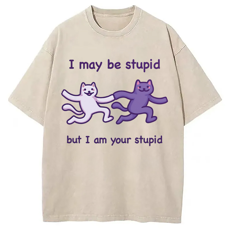 Modecanvas I Am Your Stupid DTG Printing Washed T-Shirt