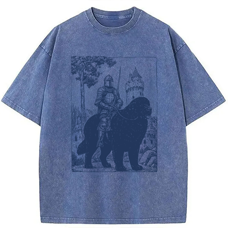 Modecanvas Knight Newfoundland Rider Vintage DTG Printing Washed T-Shirt