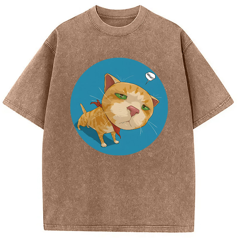 Modecanvas Confusing Cat DTG Printing Washed T-Shirt
