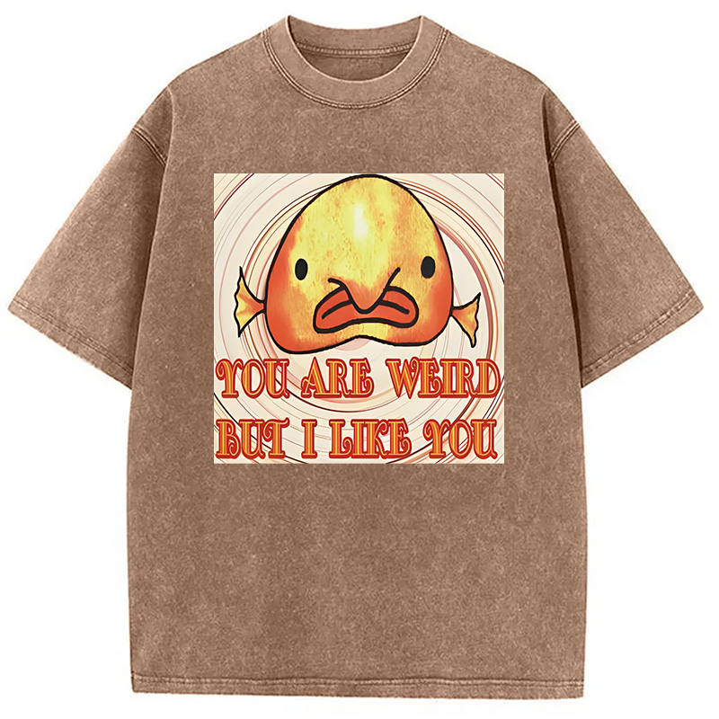 Modecanvas Odly Adorable Fish Meme DTG Printing Washed T-Shirt