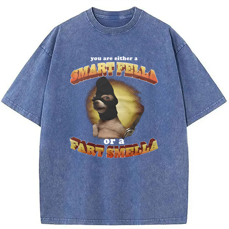 Modecanvas You Are Either A Smart Fella Or A Fart Smella Funny Meme DTG Printing Washed T-Shirt