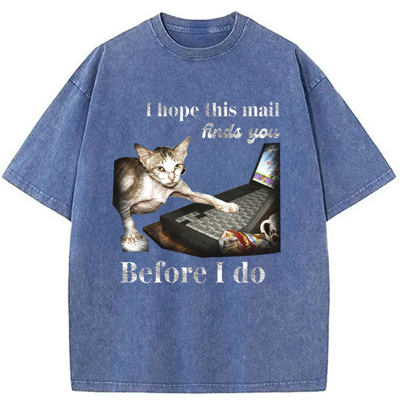 Modecanvas Funny Send Mail Cat Meme DTG Printing Washed T-Shirt