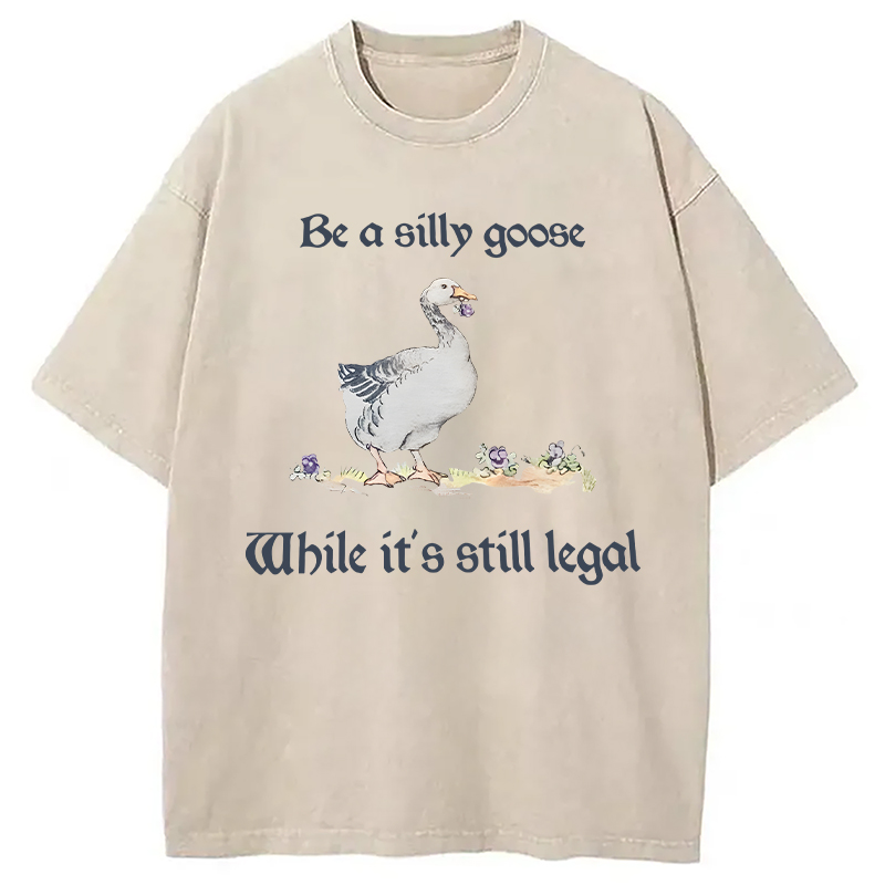 Modecanvas Be A Silly Goose DTG Printing Washed T-Shirt