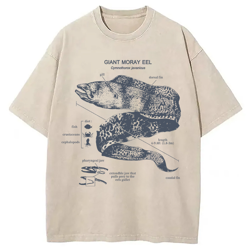 Modecanvas Moray Eel Anatomy Vintage DTG Printing Washed T-Shirt
