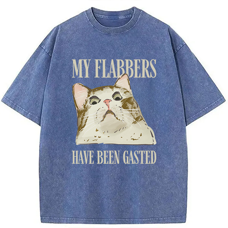 Modecanvas My Flabbers Have Been Gasted Cat Meme DTG Printing Washed T-Shirt