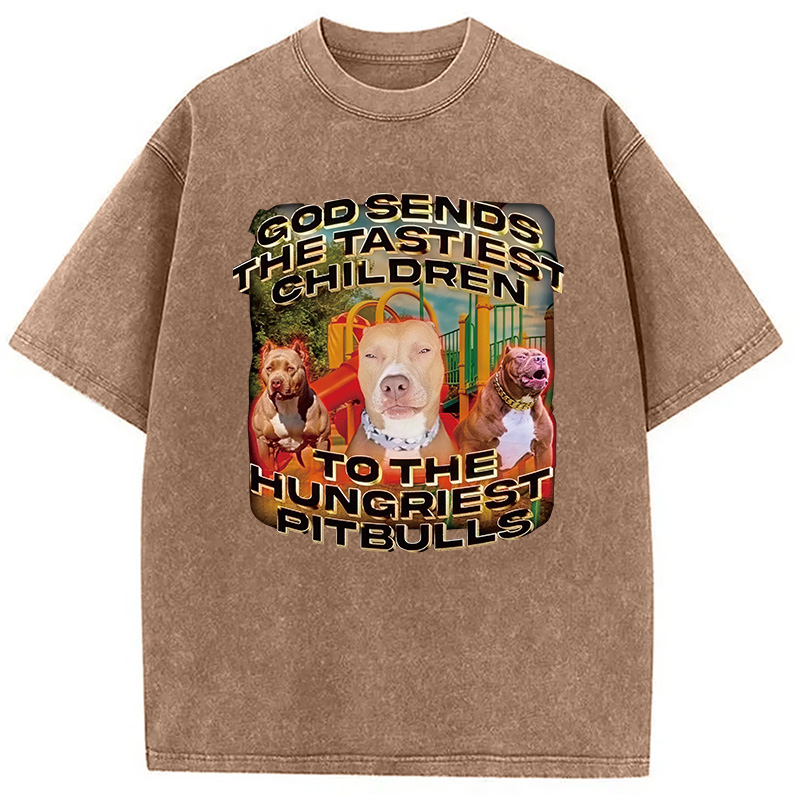Modecanvas God Sends The Tastiest Children To The Hungriest Pitbulls DTG Printing Washed T-Shirt