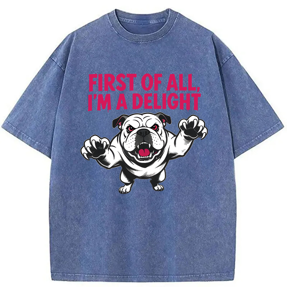 Modecanvas Fierce Bulldog Delight DTG Printing Washed T-Shirt