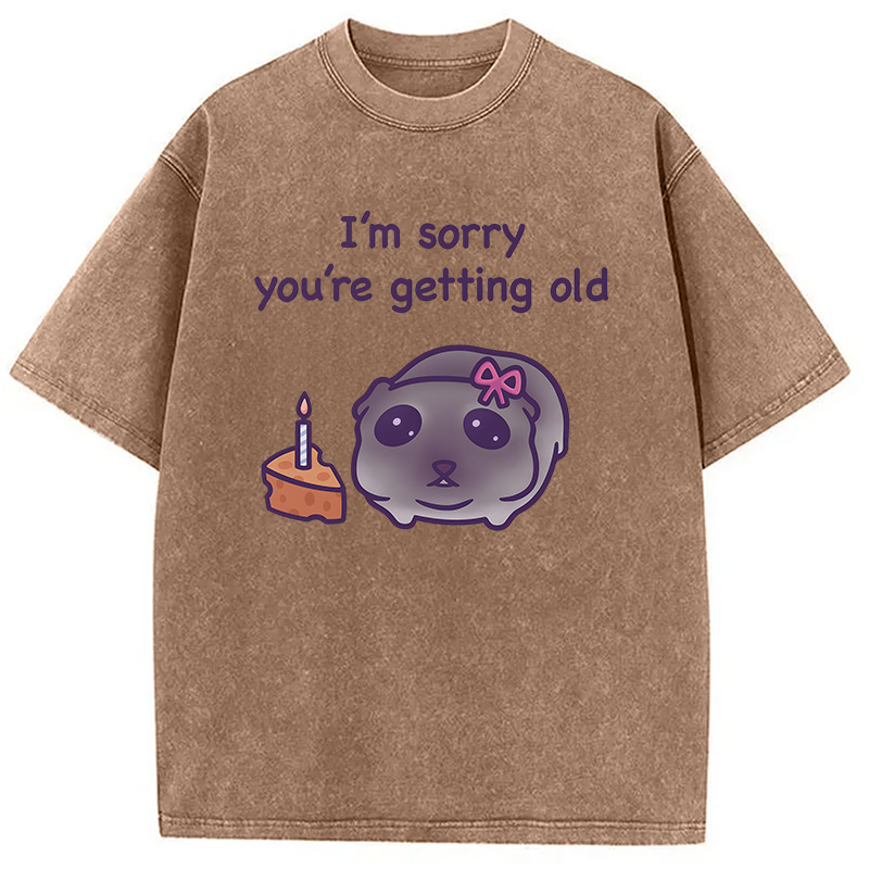 Modecanvas Sad Hamster Birthday Meme DTG Printing Washed T-Shirt