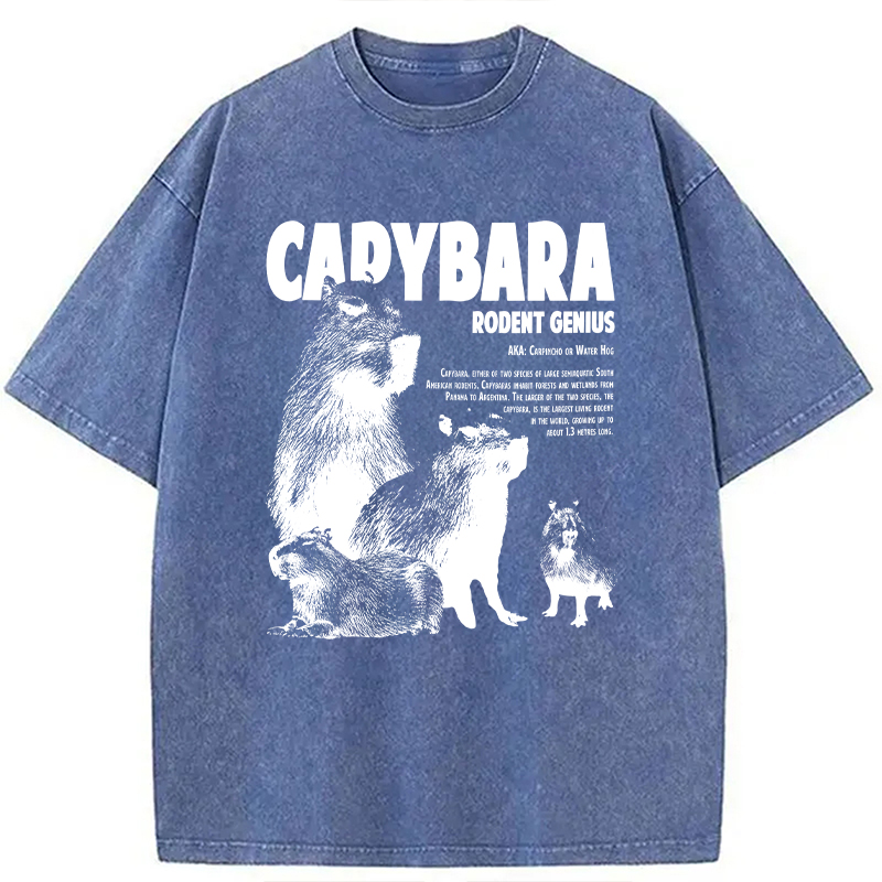 Modecanvas Capybara Vintage DTG Printing Washed T-Shirt