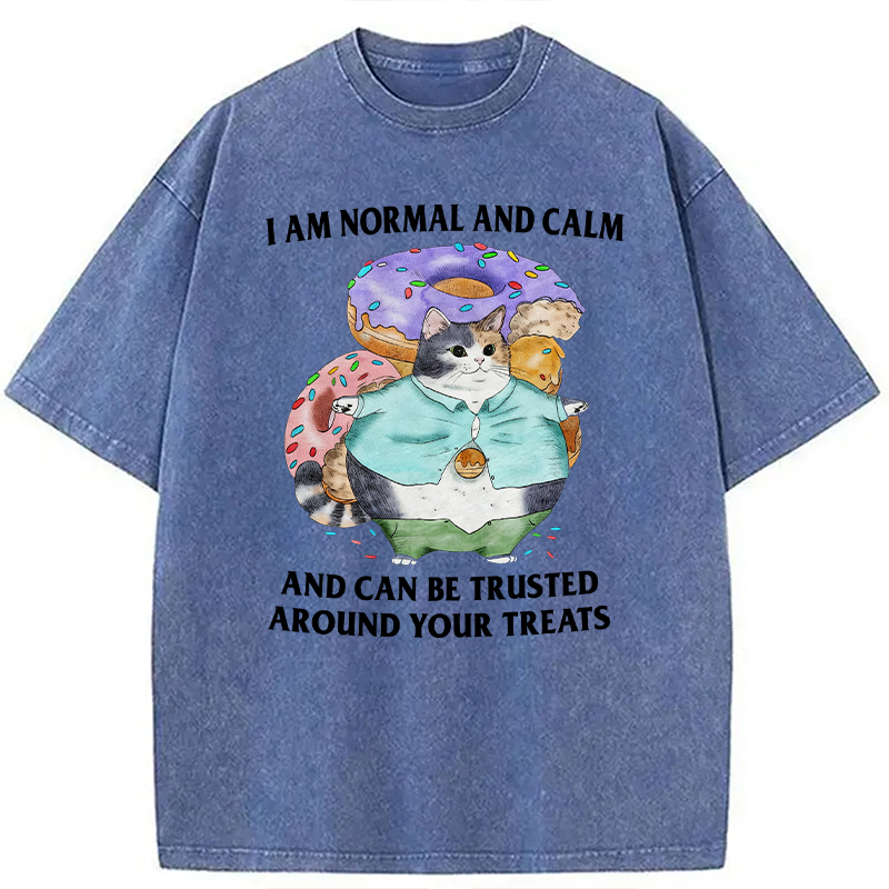 Modecanvas I Can Be Trusted Around Your Treats DTG Printing Washed T-Shirt